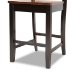 Baxton Studio Nicolette Modern and Contemporary Two-Tone Dark Brown and Walnut Brown Finished Wood 2-Piece Counter Stool Set - BSORH340P-Dark Brown/Walnut Wood Scoop Seat-PC