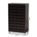 Baxton Studio Ernest Modern and Contemporary Dark Brown Finished Wood 2-Door Shoe Storage Cabinet - BSOFP-11027-Espresso-Shoe Cabinet