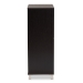 Baxton Studio Ernest Modern and Contemporary Dark Brown Finished Wood 2-Door Shoe Storage Cabinet - BSOFP-11027-Espresso-Shoe Cabinet