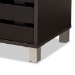 Baxton Studio Ernest Modern and Contemporary Dark Brown Finished Wood 2-Door Shoe Storage Cabinet - BSOFP-11027-Espresso-Shoe Cabinet