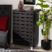 Baxton Studio Ernest Modern and Contemporary Dark Brown Finished Wood 2-Door Shoe Storage Cabinet - BSOFP-11027-Espresso-Shoe Cabinet