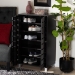 Baxton Studio Ernest Modern and Contemporary Dark Brown Finished Wood 2-Door Shoe Storage Cabinet - BSOFP-11027-Espresso-Shoe Cabinet