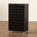 Baxton Studio Ernest Modern and Contemporary Dark Brown Finished Wood 2-Door Shoe Storage Cabinet - BSOFP-11027-Espresso-Shoe Cabinet