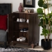 Baxton Studio Nissa Modern and Contemporary Walnut Brown Finished Wood 2-Door Shoe Storage Cabinet - BSOMPC8017-Walnut-Shoe Cabinet