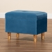 Baxton Studio Elias Modern and Contemporary Sky Blue Velvet Fabric Upholstered and Oak Brown Finished Wood Storage Ottoman - BSOJY20A250-Sky Blue Velvet-Otto