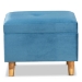Baxton Studio Elias Modern and Contemporary Sky Blue Velvet Fabric Upholstered and Oak Brown Finished Wood Storage Ottoman - BSOJY20A250-Sky Blue Velvet-Otto