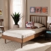 Baxton Studio Sora Mid-Century Modern Ash Walnut Finished Wood Twin Size Platform Bed - BSOSora-Ash Walnut-Twin