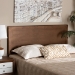 Baxton Studio Alan Modern and Contemporary Transitional Ash Walnut Finished Wood Queen Size Headboard - BSOMG9726-Ash Walnut-HB-Queen