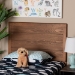 Baxton Studio Seren Mid-Century Modern Walnut Brown Finished Wood Twin Size Headboard - BSOMG97093-Ash Walnut-HB-Twin