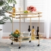 Baxton Studio Destin Modern and Contemporary Glam Brushed Gold Finished Metal and Mirrored Glass 2-Tier Mobile Wine Bar Cart - BSOJY20A263-Gold-Cart