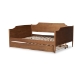 Baxton Studio Alya Classic Traditional Farmhouse Walnut Brown Finished Wood Full Size Daybed with Roll-Out Trundle Bed - BSOMG0016-1-Walnut-Daybed-F/T