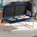 Baxton Studio Aliana Glam and Luxe Navy Blue Velvet Fabric Upholstered and Gold Finished Metal Large Storage Ottoman - BSOJY19B-051L-Navy Blue Velvet/Gold-Otto