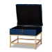 Baxton Studio Aliana Glam and Luxe Navy Blue Velvet Fabric Upholstered and Gold Finished Metal Small Storage Ottoman - BSOJY19B-051S-Navy Blue Velvet/Gold-Otto