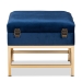 Baxton Studio Aliana Glam and Luxe Navy Blue Velvet Fabric Upholstered and Gold Finished Metal Small Storage Ottoman - BSOJY19B-051S-Navy Blue Velvet/Gold-Otto
