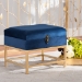 Baxton Studio Aliana Glam and Luxe Navy Blue Velvet Fabric Upholstered and Gold Finished Metal Small Storage Ottoman - BSOJY19B-051S-Navy Blue Velvet/Gold-Otto
