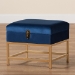 Baxton Studio Aliana Glam and Luxe Navy Blue Velvet Fabric Upholstered and Gold Finished Metal Small Storage Ottoman - BSOJY19B-051S-Navy Blue Velvet/Gold-Otto
