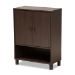 Baxton Studio Rossin Modern and Contemporary Dark Brown Finished Wood 2-Door Entryway Shoe Storage Cabinet