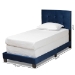 Baxton Studio Caprice Modern and Contemporary Glam Navy Blue Velvet Fabric Upholstered Twin Size Panel Bed - BSOCF9210B-Navy Blue Velvet-Twin