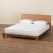 Baxton Studio Haines Modern and Contemporary Walnut Brown Finished Wood Full Size Platform Bed - BSOMG-0050-Ash Walnut-Full