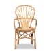 bali & pari Sheraton Modern and Contemporary Natural Finished Rattan Dining Chair - BSOSheraton-Natural-DC
