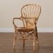 bali & pari Sheraton Modern and Contemporary Natural Finished Rattan Dining Chair - BSOSheraton-Natural-DC