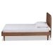 Baxton Studio Gisa Mid-Century Modern Transitional Walnut Brown Finished Wood Twin Size Platform Bed - BSOGisa-Ash Walnut-Twin