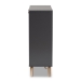 Baxton Studio Kelson Modern and Contemporary Dark Grey and Gold Finished Wood 3-Door Shoe Cabinet - BSOLV19SC1915-Dark Grey-Shoe Cabinet