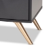 Baxton Studio Kelson Modern and Contemporary Dark Grey and Gold Finished Wood 2-Drawer Nightstand - BSOLV19ST1924-Dark Grey-NS