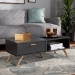 Baxton Studio Kelson Modern and Contemporary Dark Grey and Gold Finished Wood Coffee Table - BSOLV19CFT1914-Dark Grey-CT