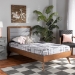 Baxton Studio Linn Mid-Century Modern Light Grey Fabric Upholstered and Walnut Brown Finished Wood Twin Size Platform Bed - BSOLinn-Light Grey/Walnut-Twin