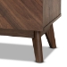 Baxton Studio Hartman Mid-Century Modern Walnut Brown Finished Wood Shoe Cabinet - BSOLV23SC23150WI-Columbia-Shoe Cabinet