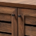Baxton Studio Salma Modern and Contemporary Walnut Brown Finished Wood 2-Door Shoe Storage Cabinet - BSOSESC70180WI-Columbia-Shoe Cabinet