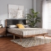 Baxton Studio Jarlan Modern and Contemporary Transitional Charcoal Fabric Upholstered and Walnut Brown Finished Wood King Size Platform Bed - BSOMG0078S-Charcoal/Walnut-King