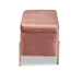 Baxton Studio Rockwell Contemporary Glam and Luxe Blush Pink Velvet Fabric Upholstered and Gold Finished Metal Storage Bench - BSOFZD0223-Blush Pink Velvet-Bench