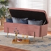 Baxton Studio Rockwell Contemporary Glam and Luxe Blush Pink Velvet Fabric Upholstered and Gold Finished Metal Storage Bench - BSOFZD0223-Blush Pink Velvet-Bench
