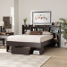 Baxton Studio Dexton Modern and Contemporary Dark Brown Finished Wood Queen Size Platform Storage Bed - BSOSEBED13031026-Modi Wenge-Queen