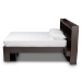 Baxton Studio Dexton Modern and Contemporary Dark Brown Finished Wood Queen Size Platform Storage Bed - BSOSEBED13031026-Modi Wenge-Queen