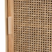 Baxton Studio Maclean Mid-Century Modern Rattan and Natural Brown Finished Wood 1-Door End Table - BSOLYA20-104-Natural-ET
