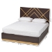 Baxton Studio Arcelia Contemporary Glam and Luxe Two-Tone Dark Brown and Gold Finished Wood Queen Size Platform Bed - BSOSEBED13032026-Modi Wenge/Gold-Queen