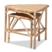bali & pari Jayden Modern Bohemian Natural Brown Finished Rattan 2-Piece End Table Set - BSOJayden-Rattan-ET Set