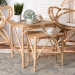 bali & pari Jayden Modern Bohemian Natural Brown Finished Rattan 2-Piece End Table Set - BSOJayden-Rattan-ET Set