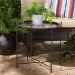 Baxton Studio Ivana Modern and Contemporary Black Finished Metal Plant Stand - BSOH01-102573 Metal Plant Stand