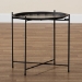 Baxton Studio Ivana Modern and Contemporary Black Finished Metal Plant Stand - BSOH01-102573 Metal Plant Stand