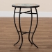 Baxton Studio Gaenor Modern and Contemporary Black Metal and Multi-Colored Ceramic Tile Plant Stand - BSOH01-104289 Plant Stand