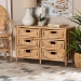 bali & pari Dariana Modern Bohemian Natural Brown Rattan 6-Drawer Storage Cabinet - BSORBS018-Rattan-6DW-Cabinet