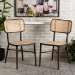 Baxton Studio Katina Mid-Century Modern Dark Brown Finished Metal and Synthetic Rattan 2-Piece Outdoor Dining Chair Set - BSOWA-33004-Natural/Dark Brown-DC