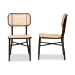 Baxton Studio Katina Mid-Century Modern Dark Brown Finished Metal and Synthetic Rattan 2-Piece Outdoor Dining Chair Set - BSOWA-33004-Natural/Dark Brown-DC