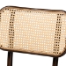 Baxton Studio Katina Mid-Century Modern Dark Brown Finished Metal and Synthetic Rattan 2-Piece Outdoor Dining Chair Set - BSOWA-33004-Natural/Dark Brown-DC