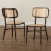 Baxton Studio Katina Mid-Century Modern Dark Brown Finished Metal and Synthetic Rattan 2-Piece Outdoor Dining Chair Set - BSOWA-33004-Natural/Dark Brown-DC