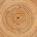 bali & pari Rinjani Modern Bohemian Natural Brown Rattan End Table - BSORinjani-Rattan-ET
